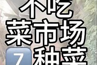 开云app手机登录截图1